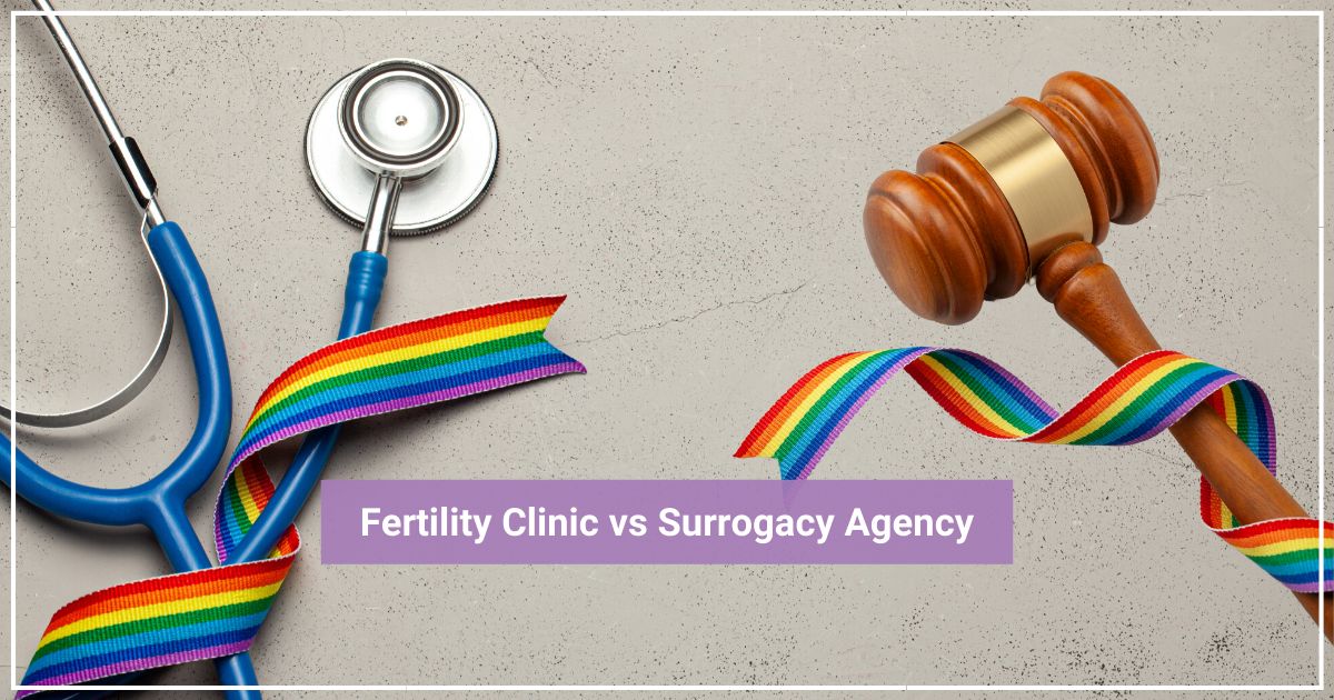 Why Do I Need A Fertility Clinic And Surrogacy Agency 